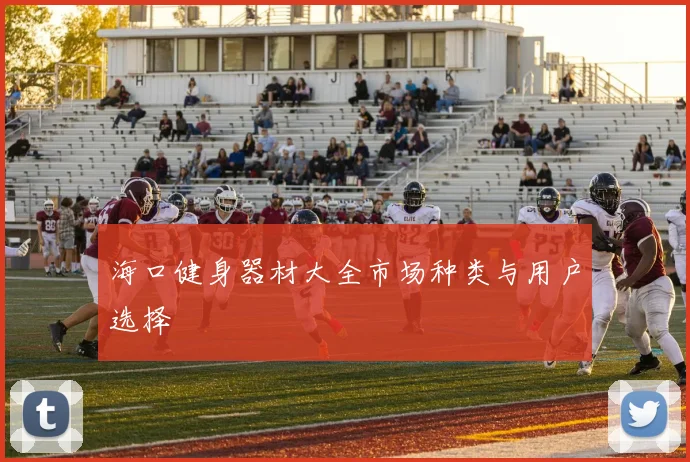 海口健身器材大全市场种类与用户选择
