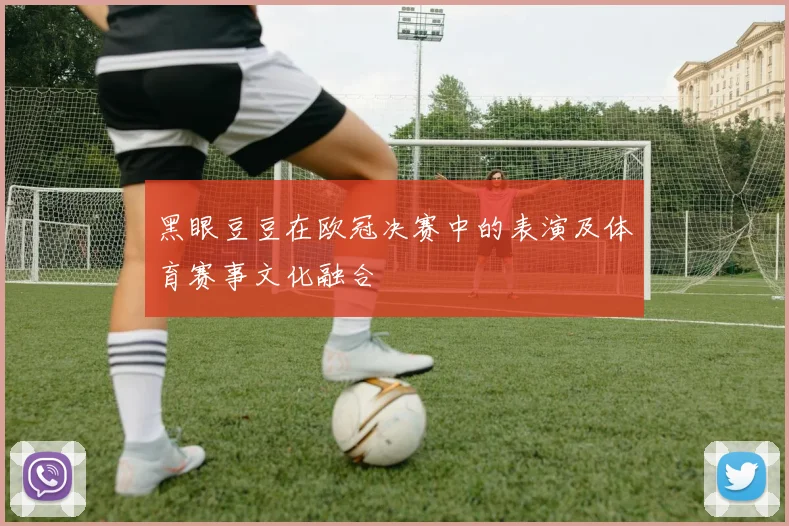 黑眼豆豆在欧冠决赛中的表演及体育赛事文化融合