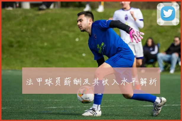 法甲球员薪酬及其收入水平解析