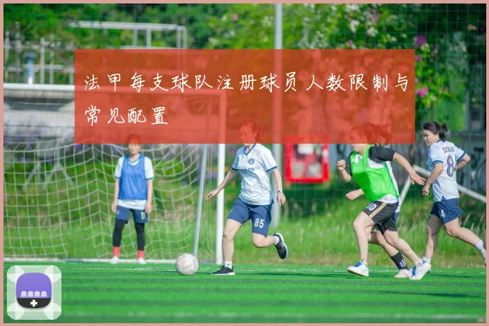 法甲每支球队注册球员人数限制与常见配置
